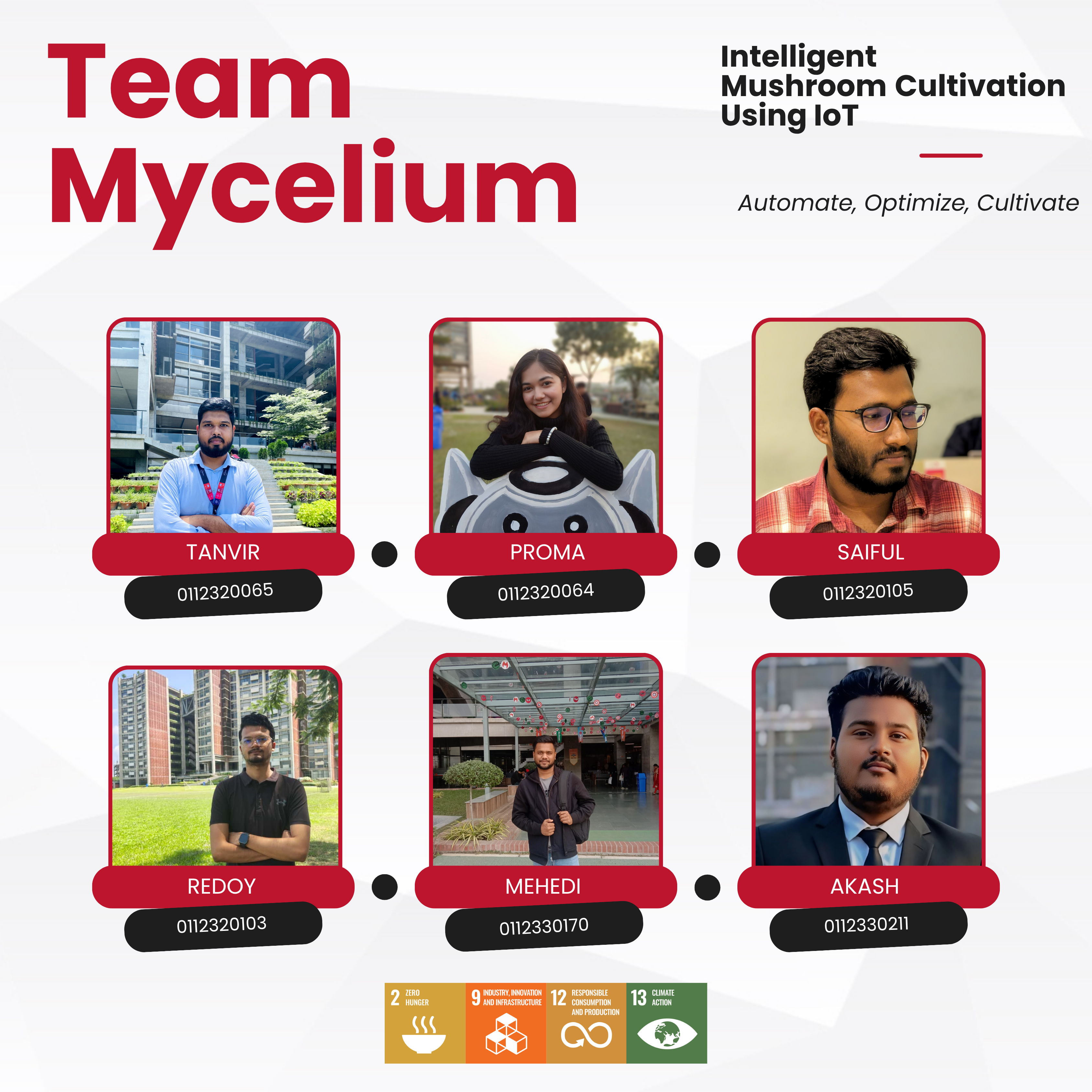 Team Mycelium
